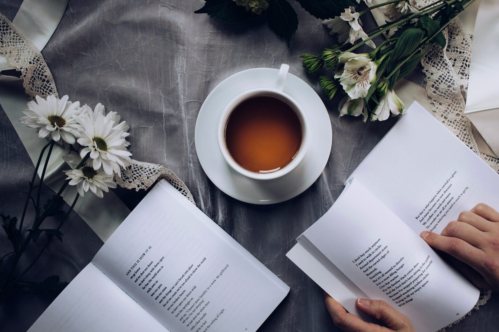 The Book Night
