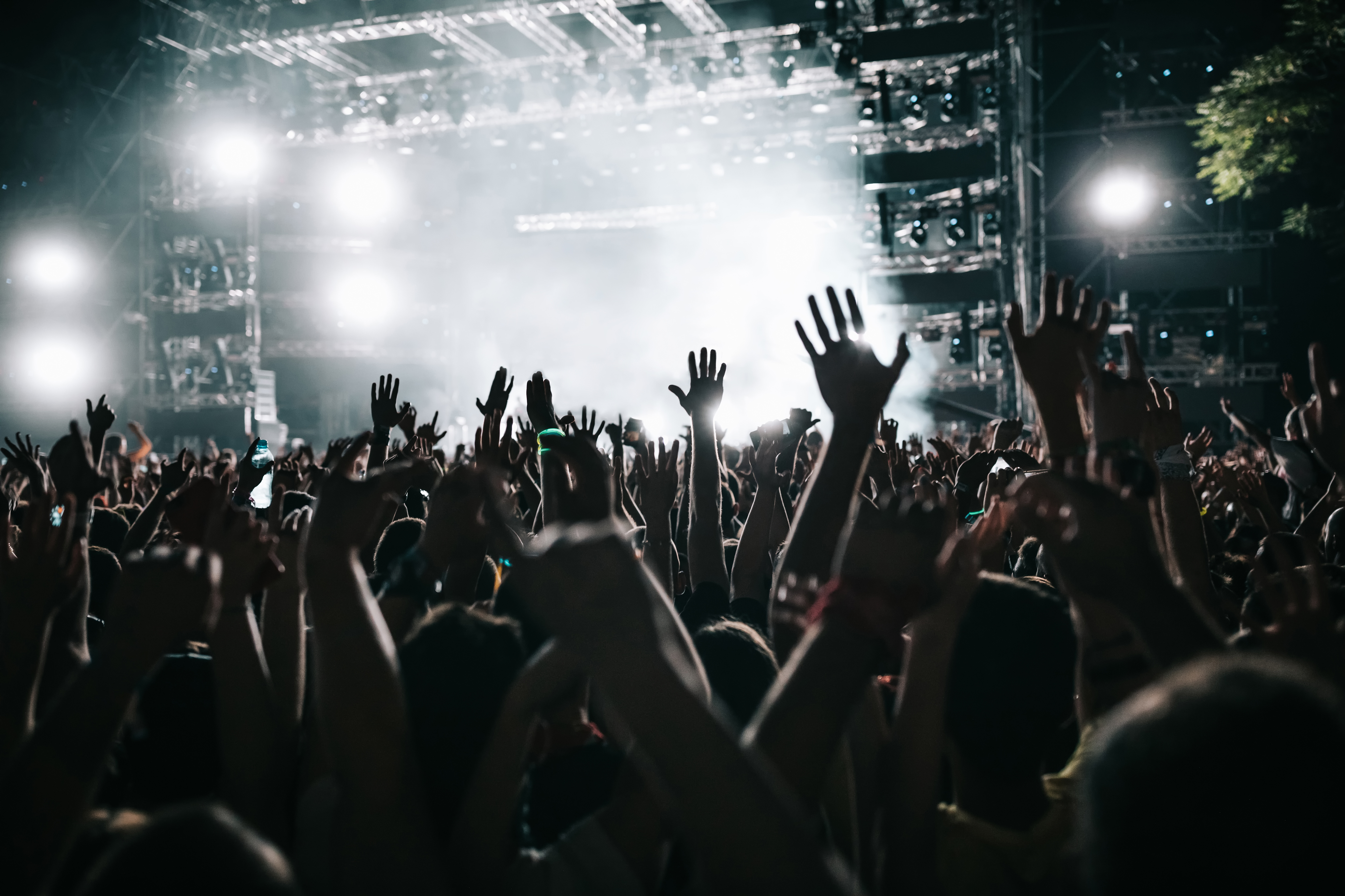 A live music moment at a concert